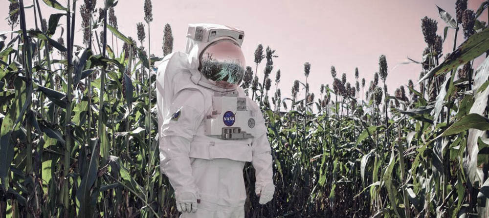 An astronaut in a field of corn. Image credit: NASA/Sean Smith